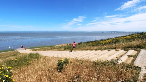 Seal Point Harbor Dog Park